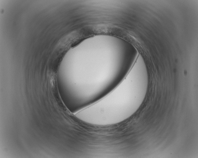 X0000067900125200604131048