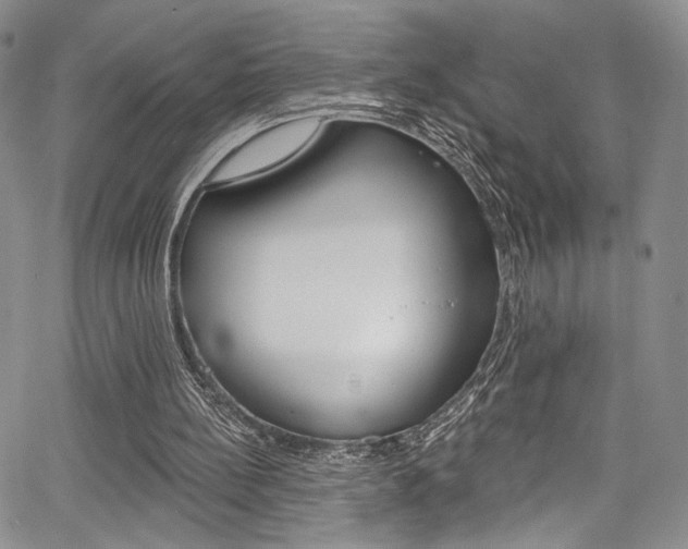 X0000067900148200604131047