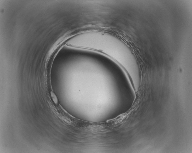 X0000067900150200604131047