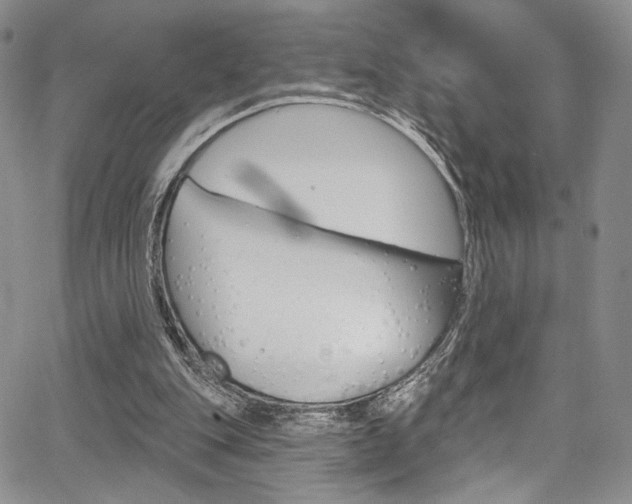 X0000067900151200604131047