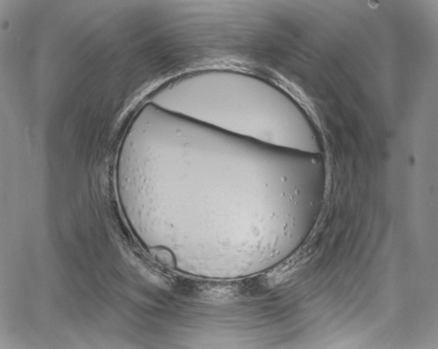 X0000067900155200604131047
