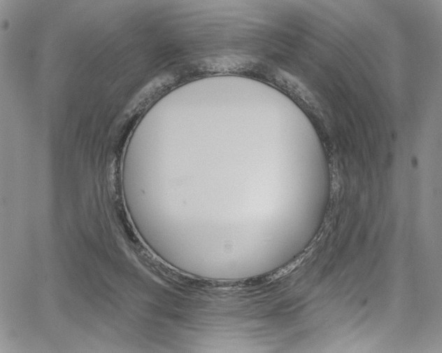 X0000067900163200604131047