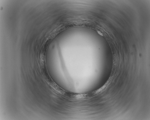 X0000067900184200604131047