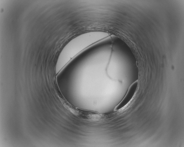 X0000067900192200604131047