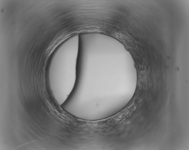 X0000067900194200604131047