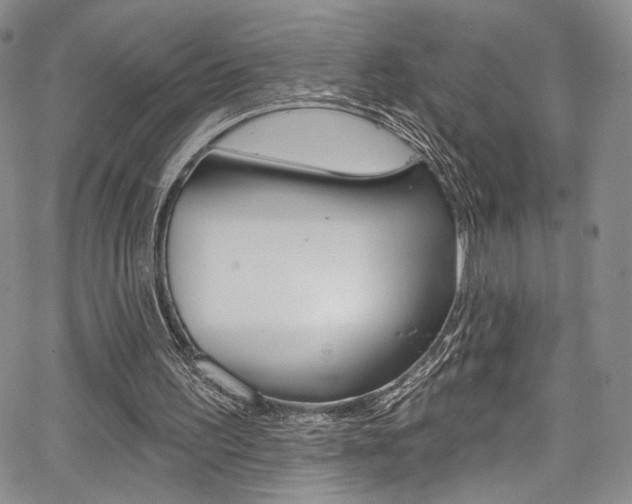 X0000067900195200604131047