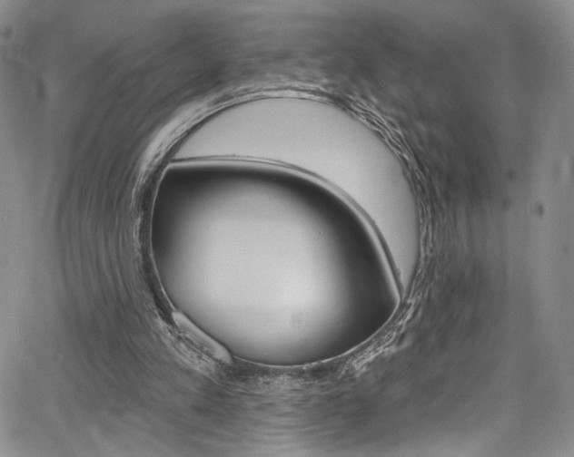 X0000067900197200604131047