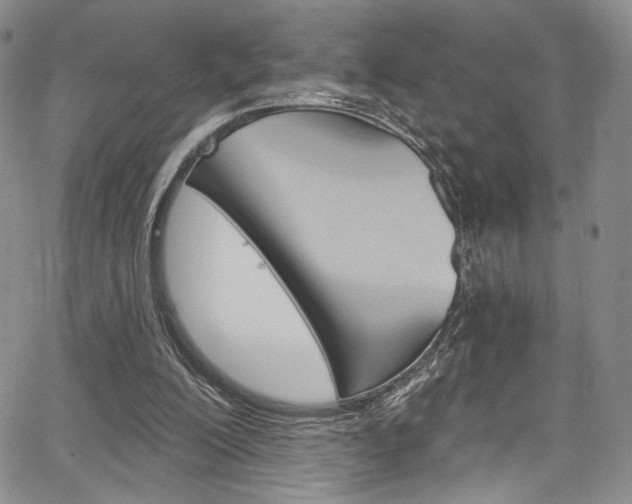 X0000067900200200604131047
