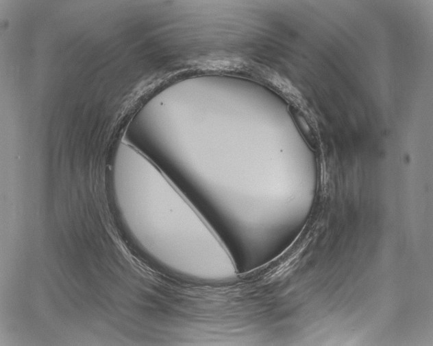 X0000067900201200604131047