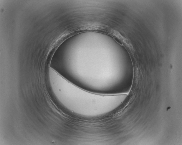 X0000067900203200604131047