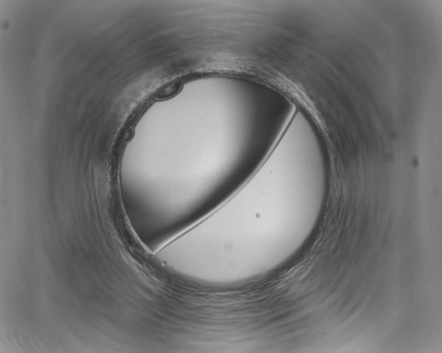 X0000067900204200604131047