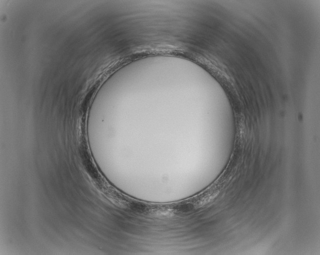 X0000067900206200604131047