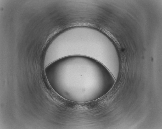 X0000067900207200604131046