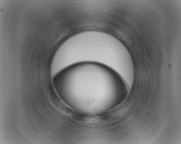 X0000067900215200604131046