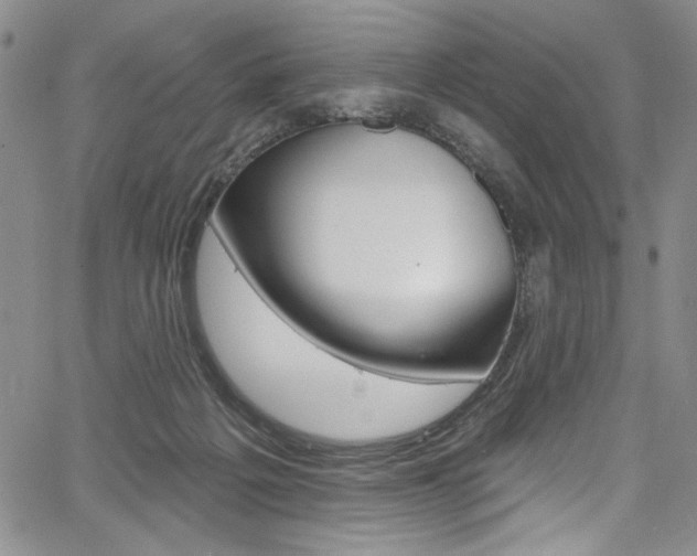 X0000067900217200604131046