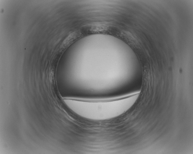 X0000067900227200604131046