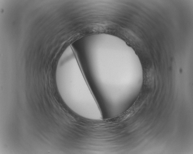 X0000067900228200604131046