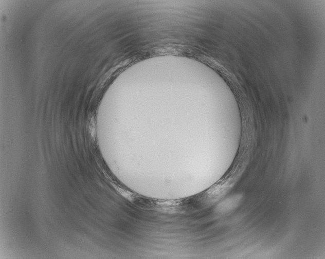 X0000067900240200604131046