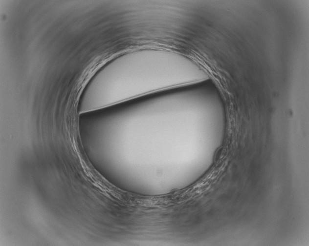 X0000067900241200604131045