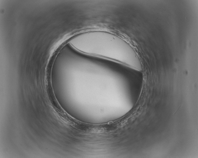 X0000067900248200604131045