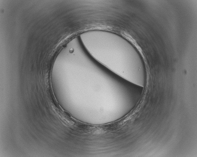 X0000067900249200604131045
