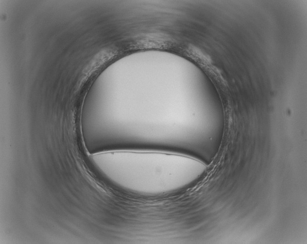 X0000067900250200604131045