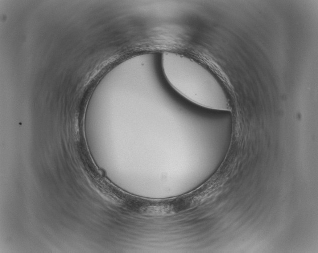 X0000067900251200604131045