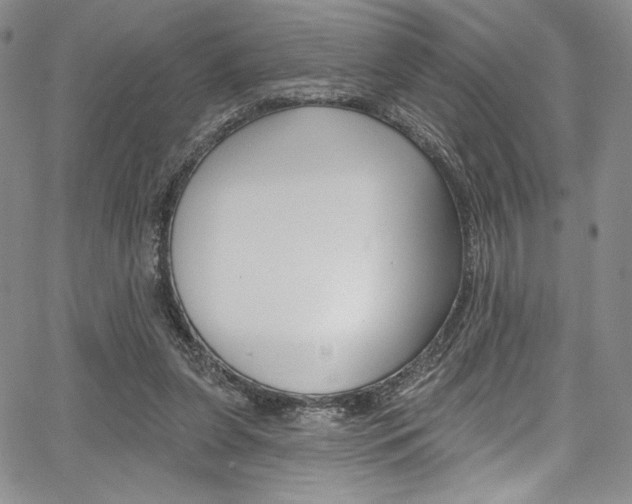 X0000067900255200604131045