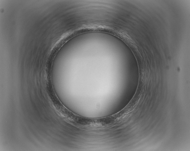 X0000067900256200604131045