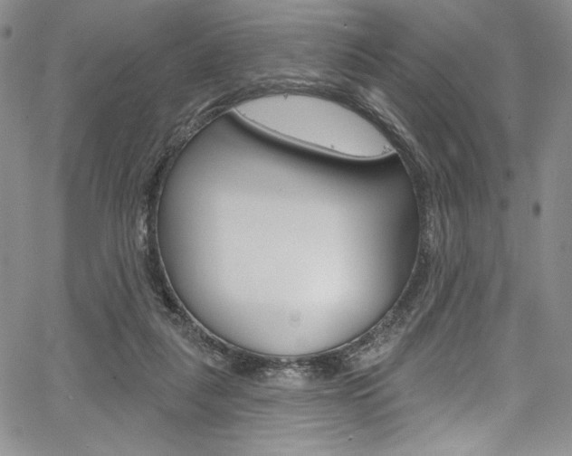 X0000067900259200604131045
