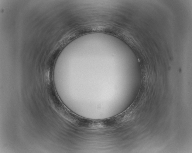 X0000067900262200604131046