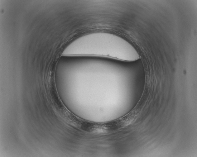 X0000067900263200604131046