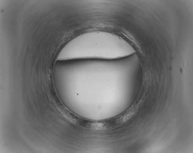X0000067900265200604131046