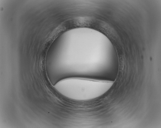 X0000067900266200604131046