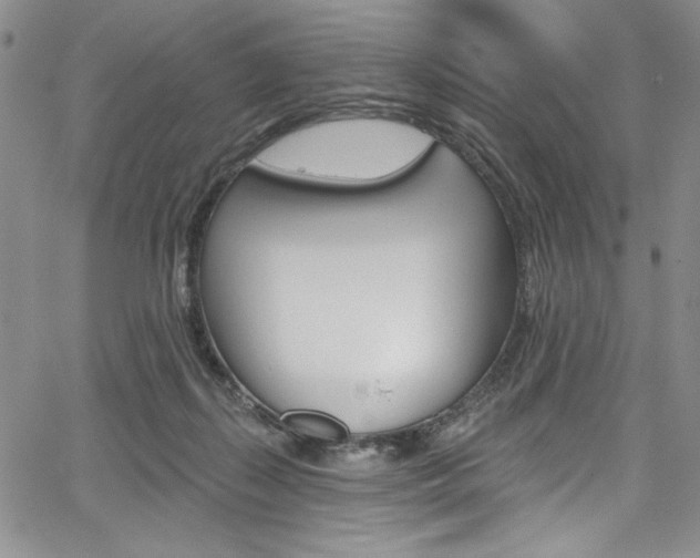 X0000067900267200604131046