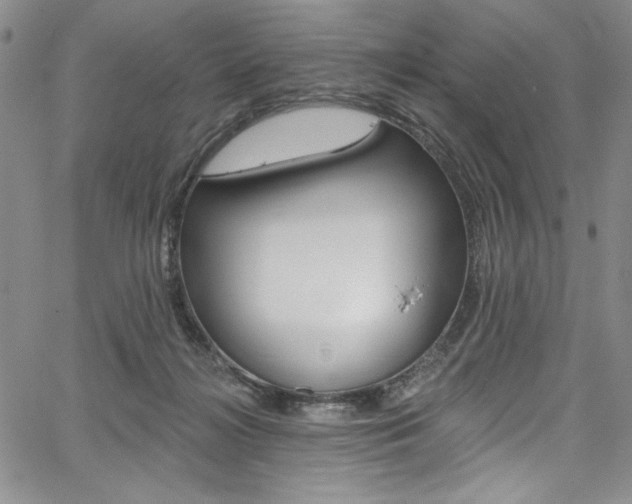 X0000067900268200604131046