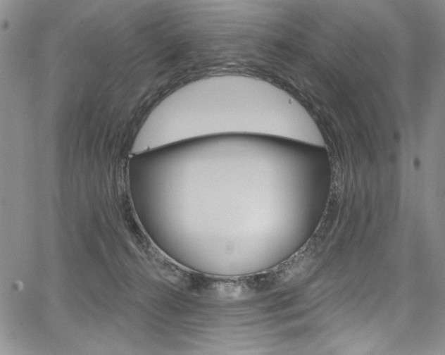 X0000067900272200604131046