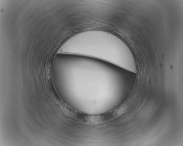 X0000067900273200604131046