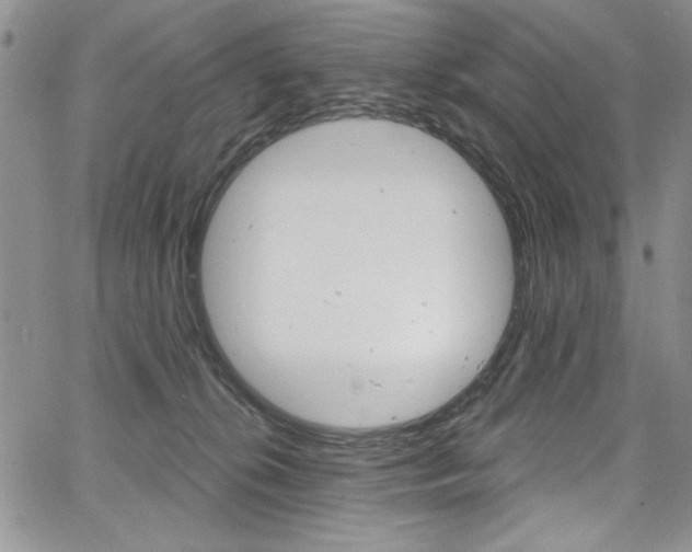 X0000067900276200604131046