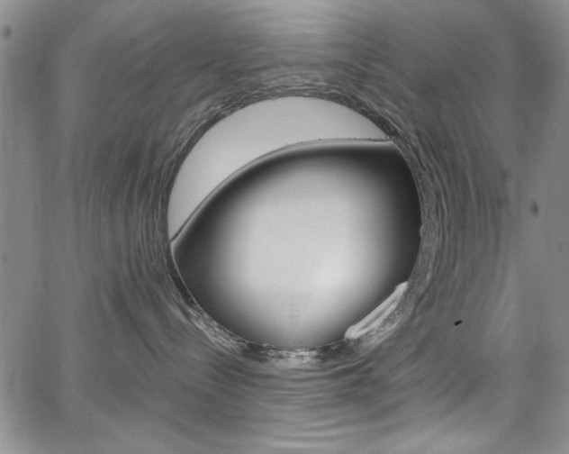 X0000067900288200604131046