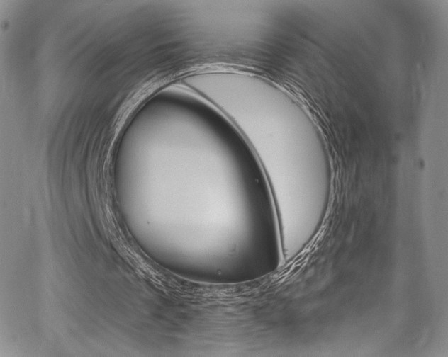 X0000067900289200604131045