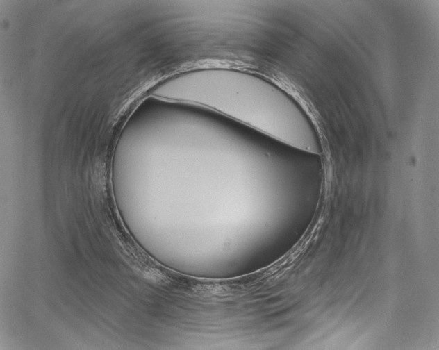 X0000067900297200604131045