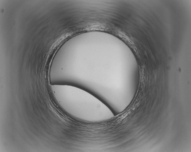 X0000067900298200604131045