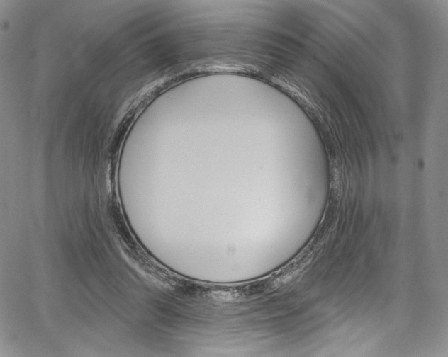X0000067900302200604131045