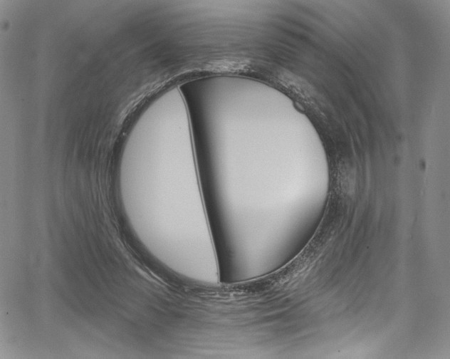 X0000067900303200604131045