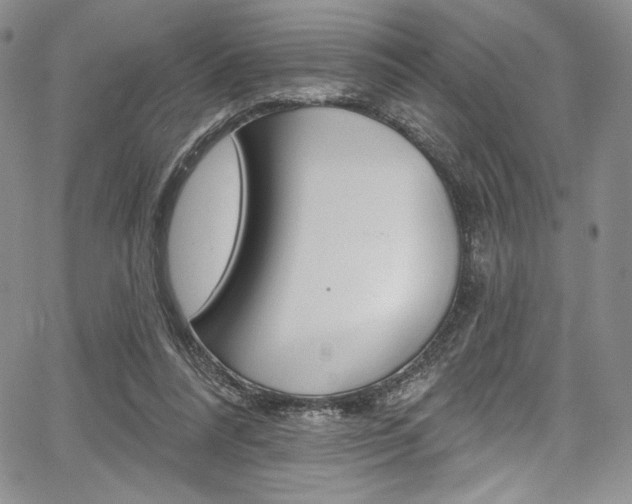X0000067900304200604131045
