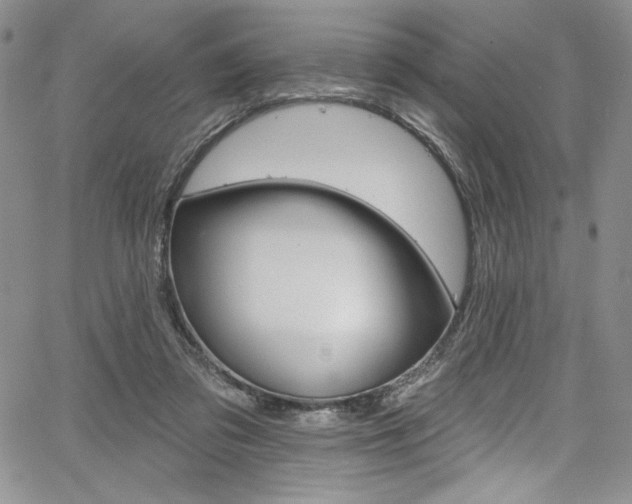 X0000067900309200604131045