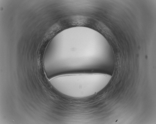 X0000067900312200604131045