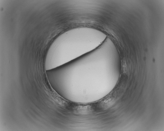 X0000067900314200604131045