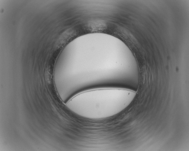 X0000067900316200604131045